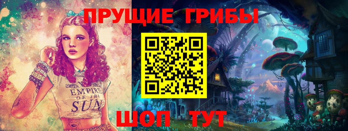 купить   Псилоцибиновые грибы Psilocybe  Вход с VPN  Новодвинск  Галлюциногенные грибы Psilocybine cubensis 