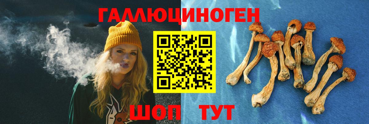 Псилоцибиновые грибы прущие грибы Новодвинск